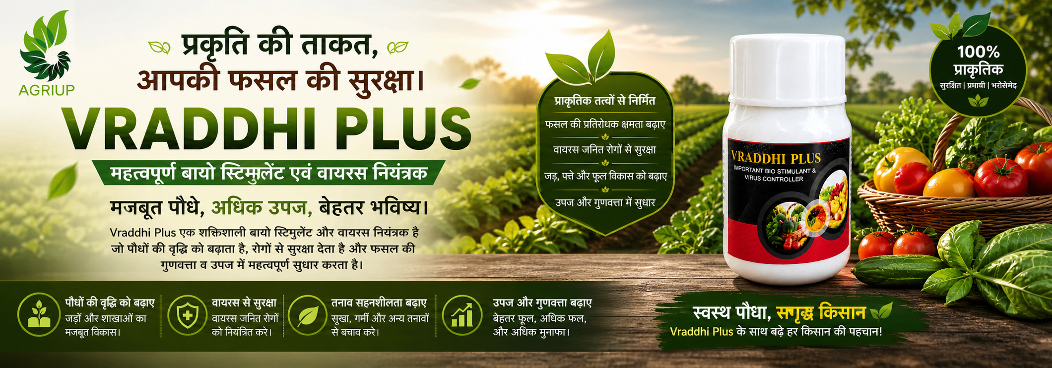 Vraddhi Plus